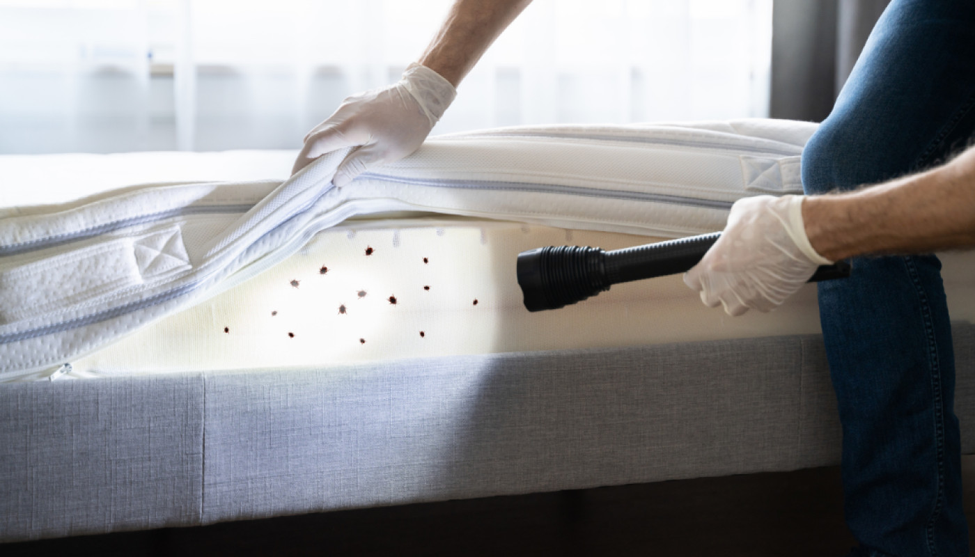Santé - Eco Hygiène 3D, l’entreprise avec le meilleur traitement de punaises de lit à Marseille